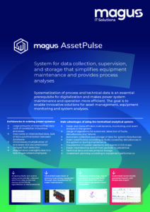 Magus AssetPulse_ENG (2)_1